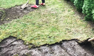 Снятие дерна старого газона в Новокузнецке – от 517 руб. | 2Землекопа-Нвк